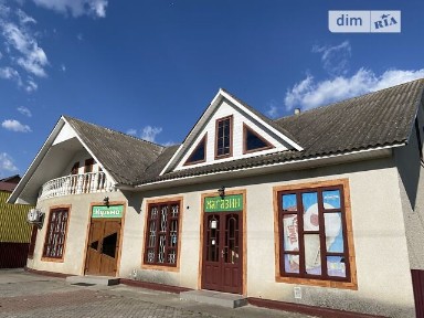 Центральна, Василівка, Центральна 25, площа 230 кв. м • ID 34878176