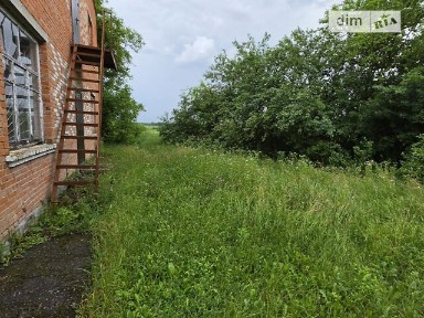 Тараса Шевченка, Борисівка, площа 900 кв. м 34879503