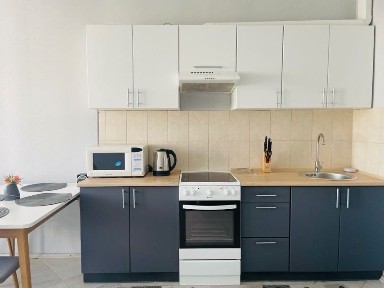 Оренда 1 кімн. квартири м. Академмістечко (5-7хв пішки), м. Житомирська вул Ірпінська
