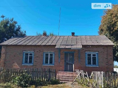Здається спеціальне приміщення на Центральна 46, площа 82.8 кв. м • ID 34898938