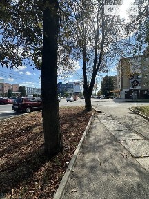 Здається комерційне приміщення на вул. Василя Порика, площа 31 кв. м • ID 34899087