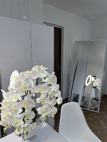 Субаренда на 10 днів світло постійно