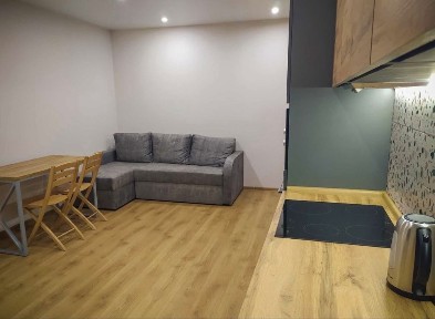 Аренда 1 ком кв 50 м2 ЖК Рогатинский, Клочковская, Центр