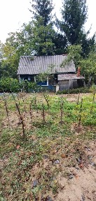 Закарпатська область, Глибоке