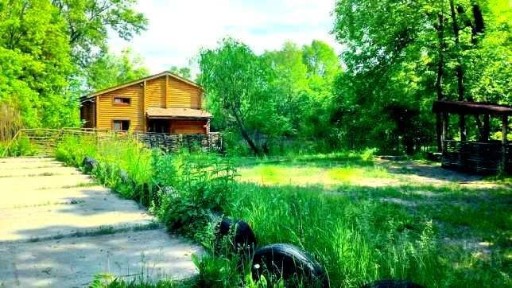 Київська область, Київ, Дніпровський