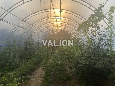 Продаж будинку з можливістю ведення фермерського господарства!