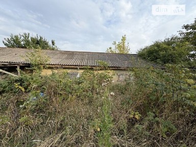 Шевченка вулиця, Пилява, вул. Шевченка 79, площа 300 кв. м 34912624
