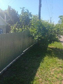 Продаж будинків, нерухомість, житло.