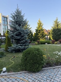 Продам ХОЗЯЙСКИЙ дом в Совиньоне, подвал, гараж, бассейн