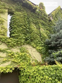 Продаж 3 поверхового будинку з ділянкою на 15 соток, 460 кв. м, 5 кімнат, на Ромашковая 1 • ID 34902042