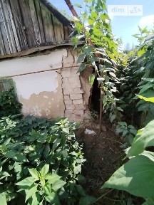 Продаж 1 поверхового будинку з ділянкою на 13 соток, 35 кв. м, 2 кімнати, на вул. Полуботка Павла • ID 34895463