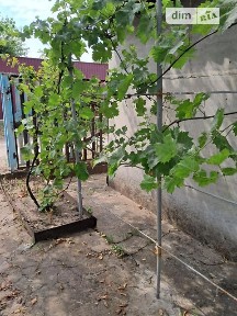 Продаж 1 поверхового будинку 20 кв. м, 2 кімнати, на кооператив Перетворювач • ID 34892739