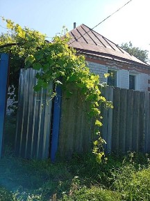 Продаж 1 поверхового будинку з ділянкою на 15 соток, 57 кв. м, 3 кімнати, на вул. Миронівська • ID 34892153