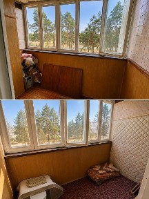 Київська область, Українка