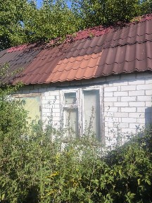 Продається будинок під знос або реставрацію Велика Димерка
