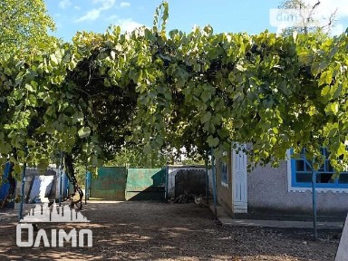 Продаж 1 поверхового будинку з ділянкою на 32 сотки, 37.7 кв. м, 1 кімната, на Олімпійська • ID 34928174
