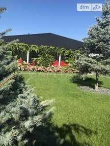 Продаж 1 поверхового будинку з ділянкою на 15 соток, 236 кв. м, 4 кімнати, на вул. Центральна • ID 34913516