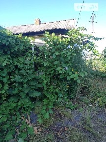 Продаж 1 поверхового будинку з ділянкою на 5 соток, 98.9 кв. м, 4 кімнати, на вул. Конституції • ID 34913357