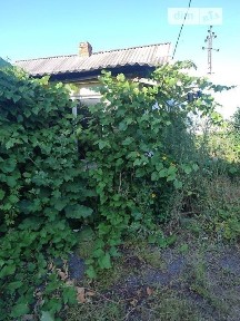 Продаж 1 поверхового будинку з ділянкою на 5 соток, 91.5 кв. м, 4 кімнати, на вул. Конституції • ID 34913357