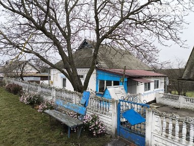 Рогізна (Сквира), Гагаріна 38 34898247