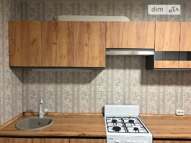 Довготривала оренда 1к квартири на вул. Нова Виноградна 10 • ID 34899129