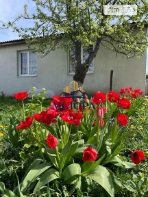 район Новий, Ужгород, Холмок 34912095