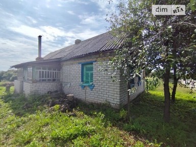 Вертокиївка, Вертокиївка 34904261