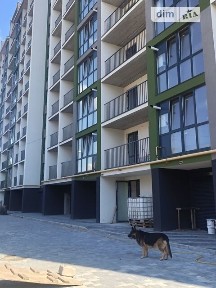 Миру проспект, 99/8А, район Виставка, Хмельницький, просп. Миру 99/8А, кв. 16 34893351