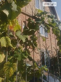 Довгострокова оренда будинку з верандою, від власника на вул. Шкільна • ID 34930238