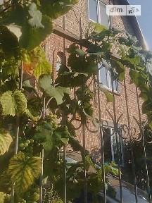 Довгострокова оренда будинку з верандою, від власника на вул. Шкільна • ID 34930238