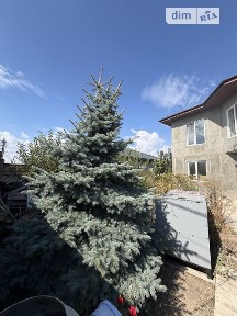 Північна вулиця, Ліски (Одеса), вул. Північна 99 34934826