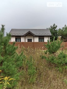 Центральна вулиця, Залісся, вул. Центральна 34936057