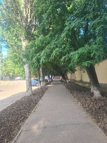 Одеська область, Одеса, Хаджибейський