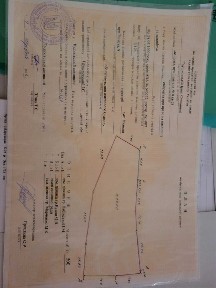 Львівська область, Куликів