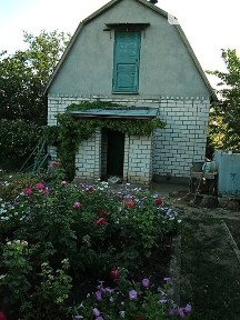 Росинка масив, Зайчівське, мас. Росинка 34939407
