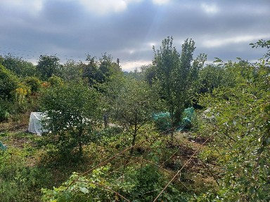 Дача 5хв від центру