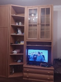 Здам 1- кімнатну квартиру м. Нивки