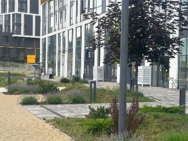 Оренда приміщення м. Львів вул. Богдана Хмельницького