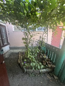 Продам 1-к квартиру со своим палисадником на ул. Дальницкая/Степовая (3-366-210)