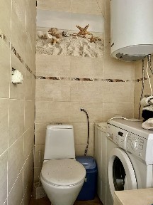 Продам будинок 82 м2 приват ділянка 25 сот Берегово село Астей