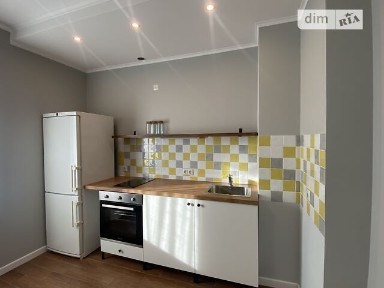 Довготривала оренда 1к квартири на вул. Бориса Гмирі 17 • ID 34891857