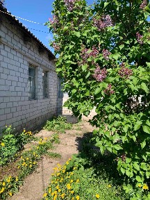 Житомирська область, Коростень