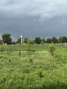 Київська область, Чепиліївка