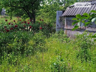 Продаж 1 поверхового будинку 12 кв. м, 1 кімната • ID 34950565