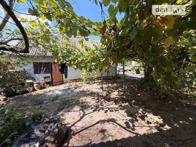 Продаж 1 поверхового будинку з ділянкою на 14.9 сотки, 44 кв. м, 2 кімнати, на вул. Набережна 28 • ID 34948121