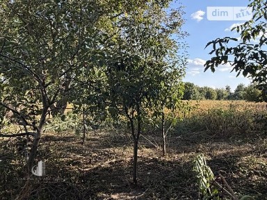 Продаж 1 поверхового будинку з ділянкою на 50 соток, 52 кв. м, 2 кімнати, на Жовтнева 41 • ID 34954903