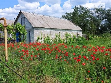 Продаж 1 поверхового будинку з ділянкою на 15 соток, 55 кв. м, 3 кімнати, на вул. Приорільська • ID 34954283