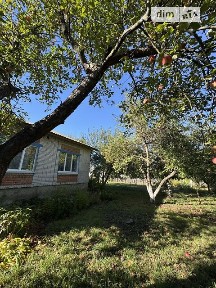 Гребениківка, Миру 34951825