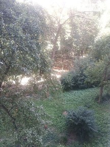 Довготривала оренда 2к квартири на вул. Парково-Сирецька 4А • ID 34955797