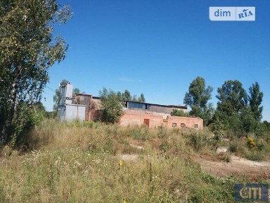 Тараса Шевченка, Василівка (Житомир), площа 367 кв. м 34959695